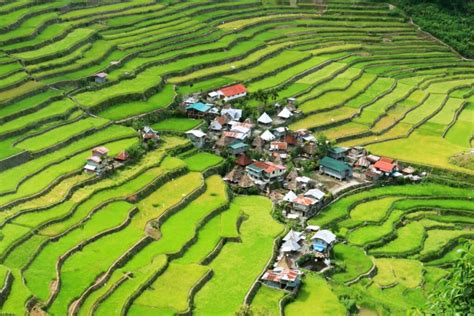  Living Legacies: Construction Culture and Heritage Conservation in the Philippines - A Journey Through Time and Timber