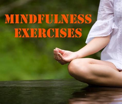  Stillness Speaks A Whisper Through Ancient Zen Practices and Modern Mindfulness Techniques