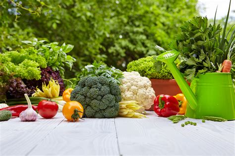  Vegetable Gardening for Beginners: A Masterclass in Cultivating Nature's Bounty!